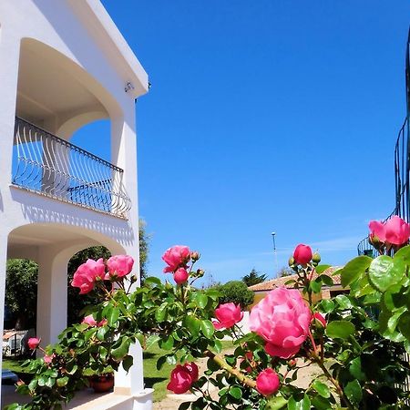 Hotel La Tartaruga Bianca Valledoria  Extérieur photo